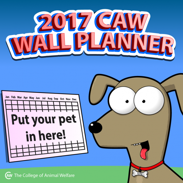 2017 CAW Wall Planner