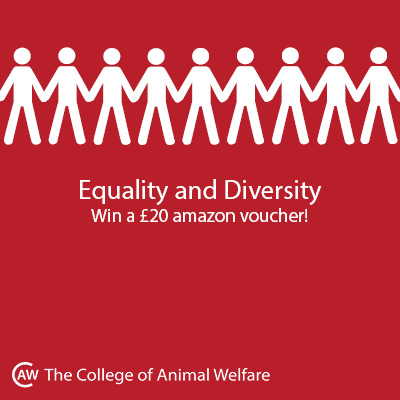 Equality and Diversity Competitions Facebook Image