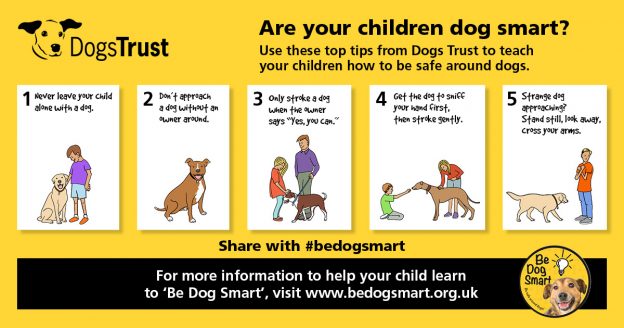 Dogs Trust Be Dog Smart Week Infographic