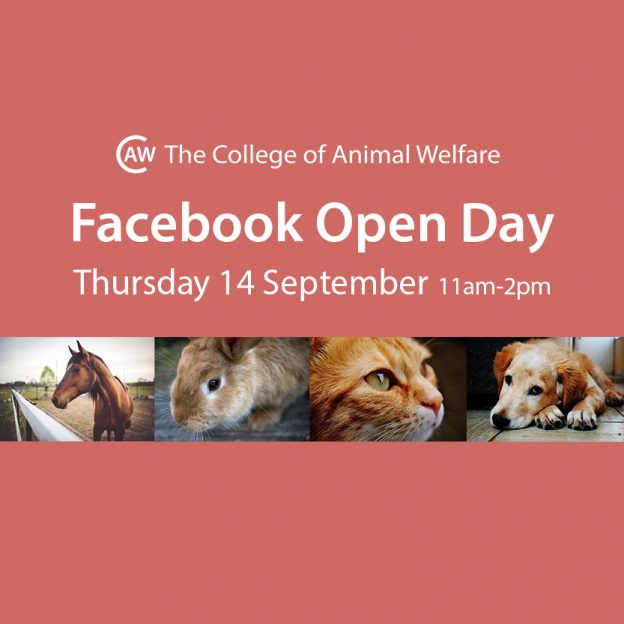 animal care apprenticeships facebook open day image