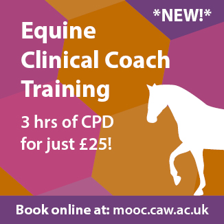 Online Equine Clinical Coach Training