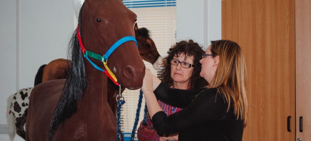 animal care apprenticeship recruitment day