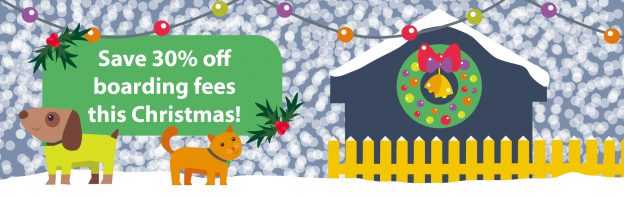 Save 30% on kennel and cattery boarding fees this Christmas