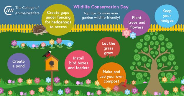 Wildlife conservation tips in your garden - fb cover