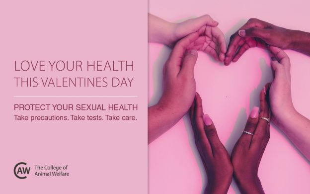 Love your sexual health this Valentine CAW Blog