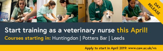 Veterinary nursing April 2019 website advert