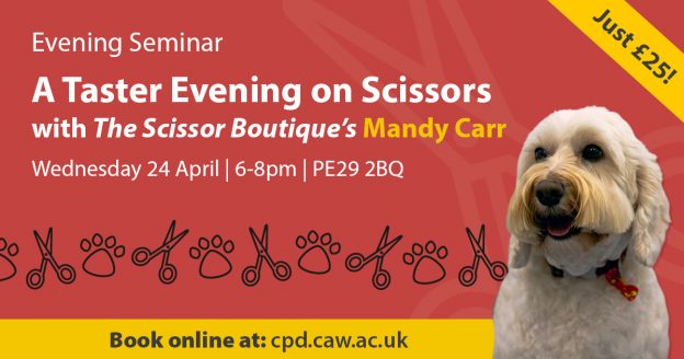 scissor seminar