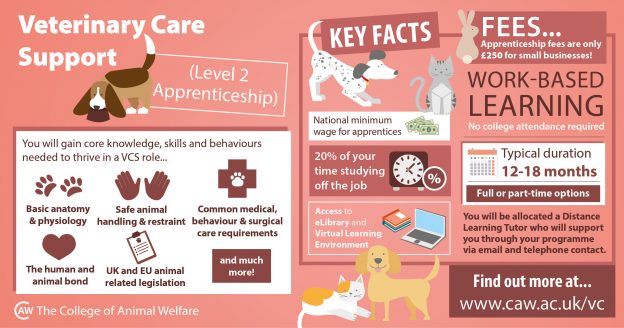 veterinary care support apprenticeship infographic