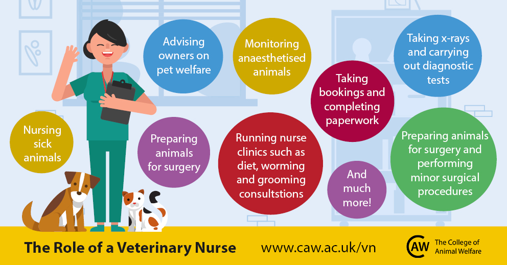 Veterinary Nursing Awareness Month Is CAW Blog