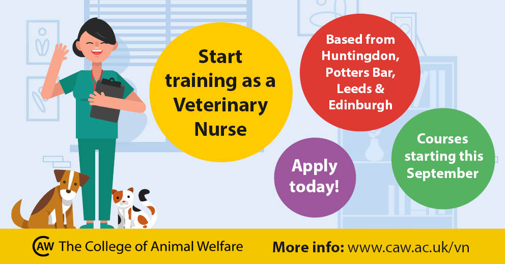 veterinary nurse training advertisement