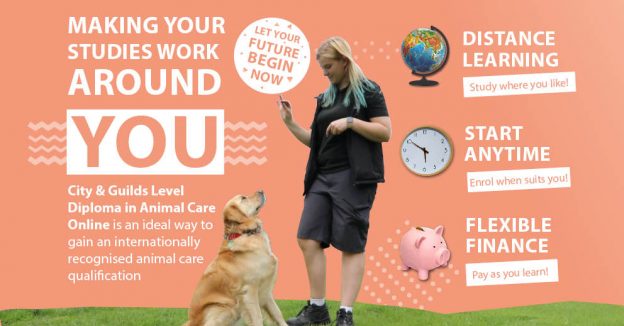 Level 2 Diploma in Animal Care Online Learning Advertisement