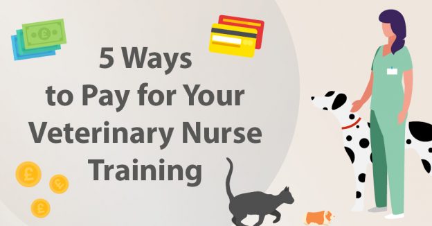 5 Ways to Pay for Your Veterinary Nurse Training