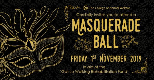 Masquerade Ball for Get Jo Walking Rehabilitation Fund Advertisement