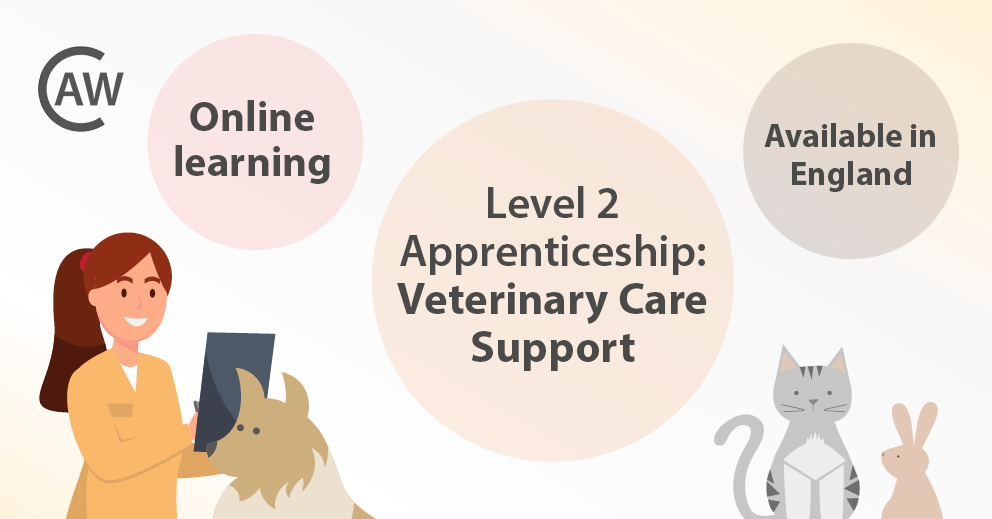 VCA Apprenticeship