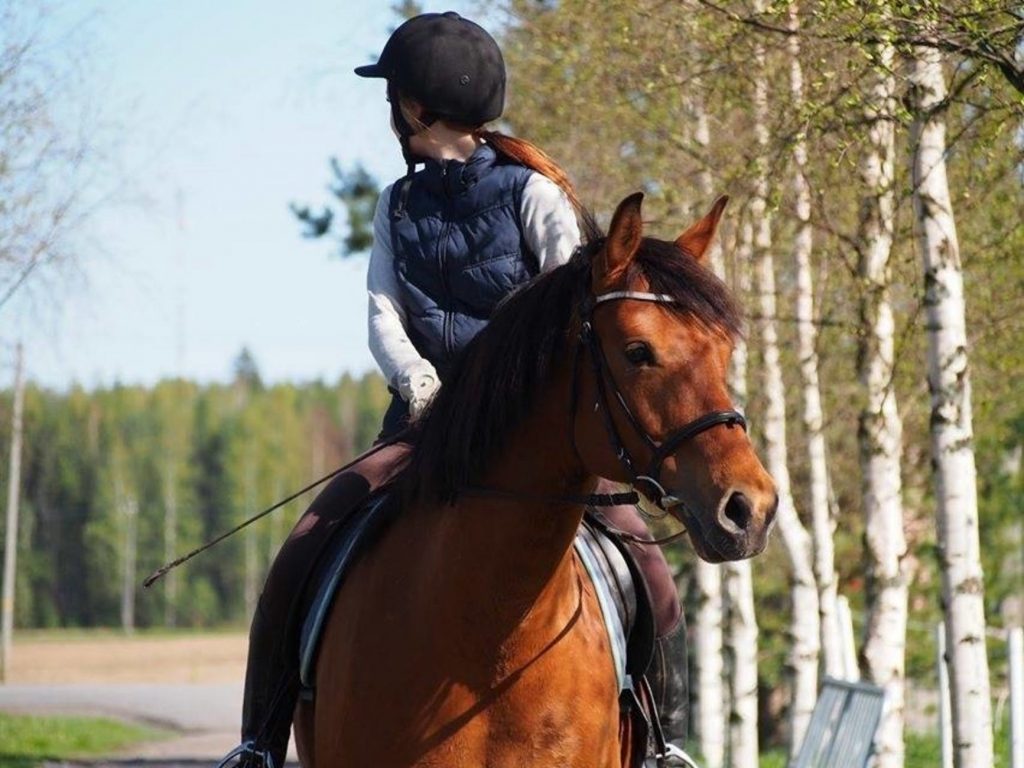 Horse Riding Instructor Career Profile