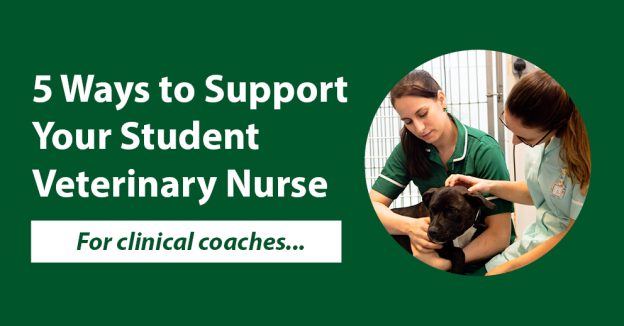 Clinical coach ways to support your student veterinary nurse