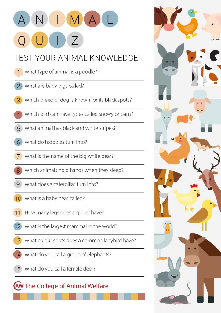 Top 130 + Animal activities for elementary students ...