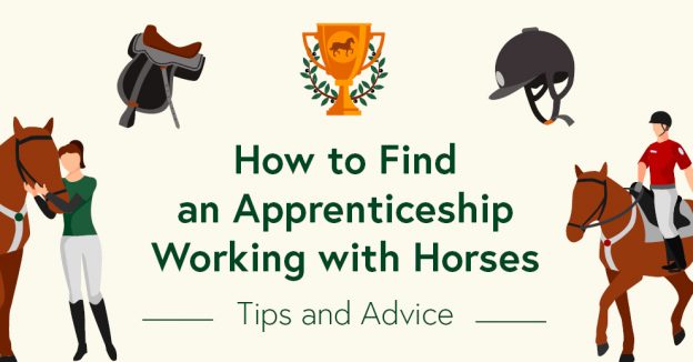 How to Find an Equine Apprenticeship