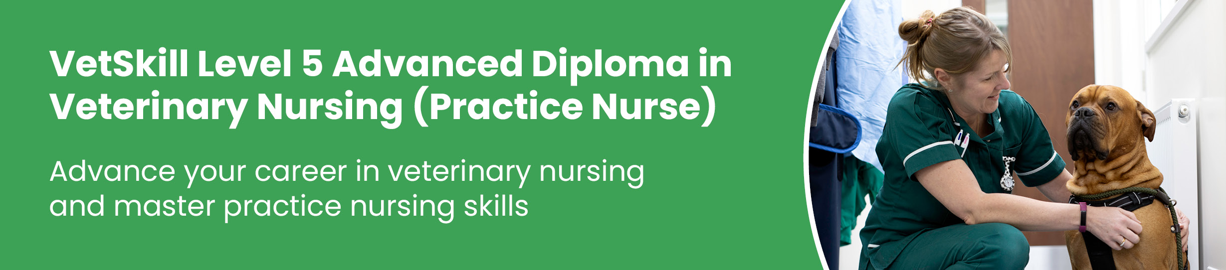 Course: VetSkill Level 5 Advanced Diploma in Veterinary Nursing (Practice Nurse)