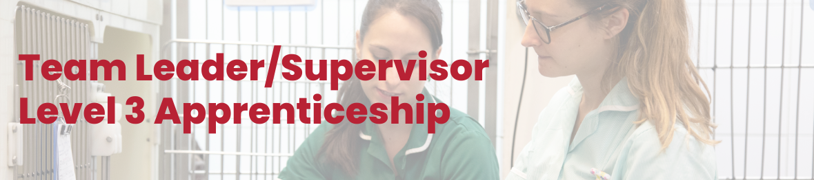 Course: Team Leader/Supervisor Level 3 Apprenticeship