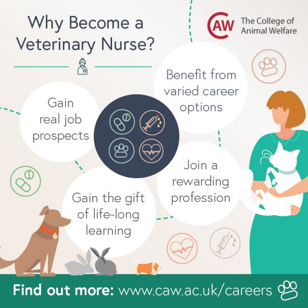 Veterinary Nursing Awareness Resources