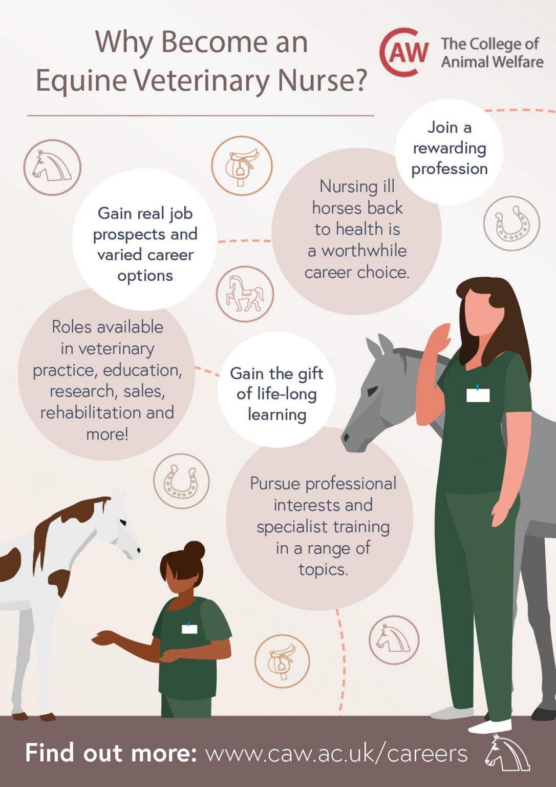 Veterinary Nursing Awareness Resources