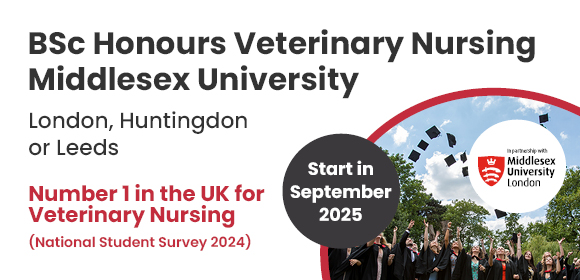 Study Veterinary Nursing at University in 2025