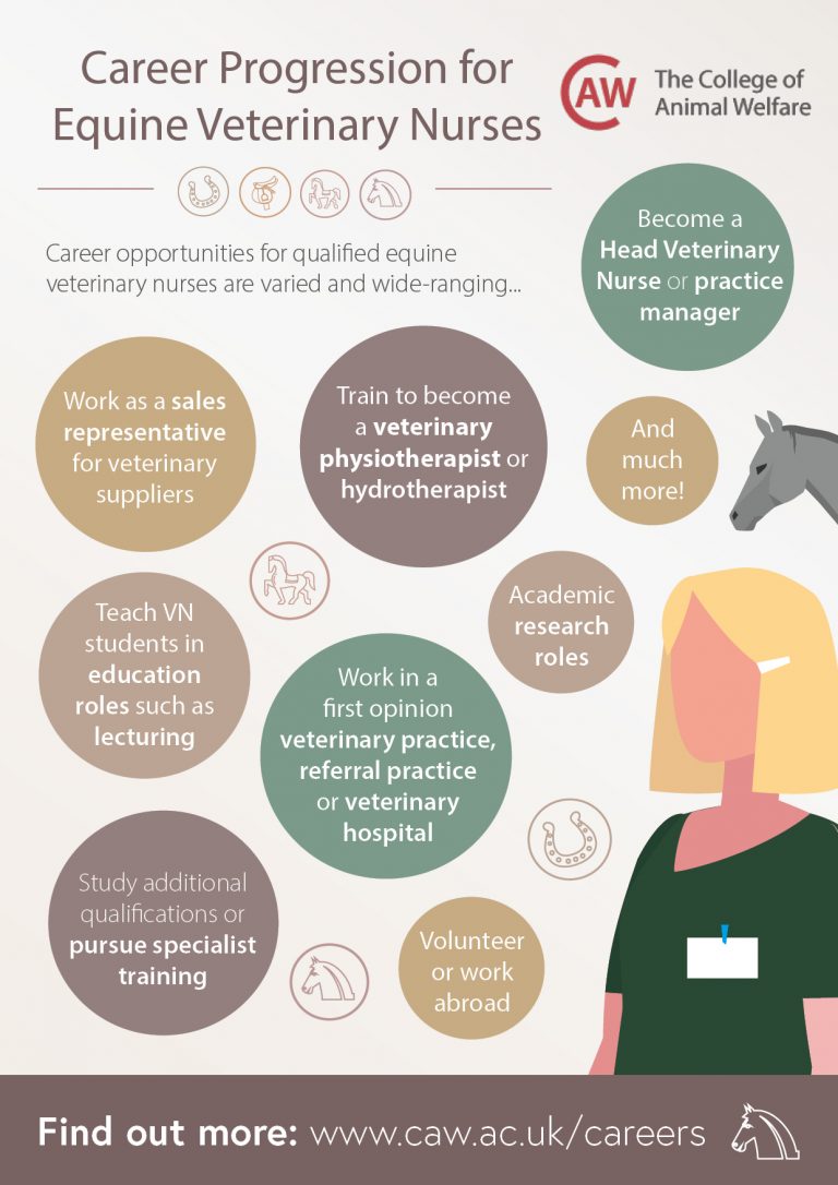 Veterinary Nursing Awareness Resources