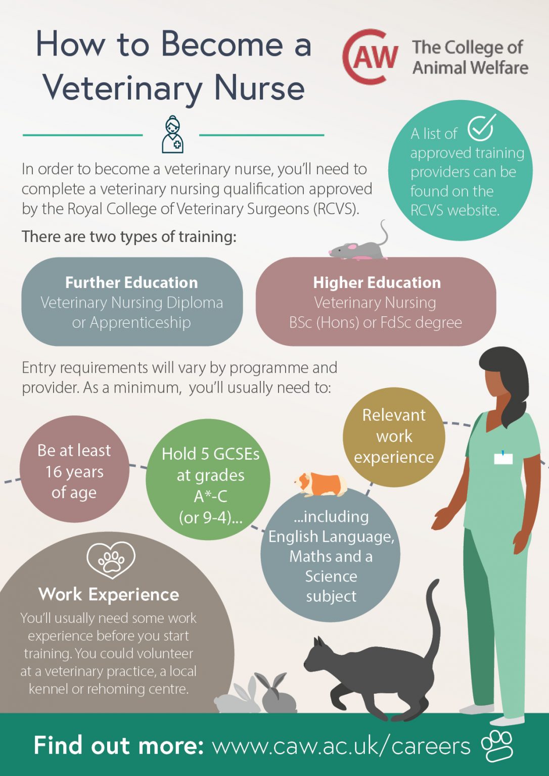 Veterinary Nursing Awareness Resources