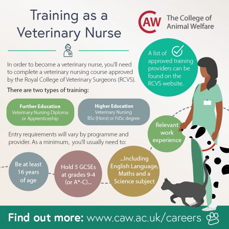 Veterinary Nursing Awareness Resources