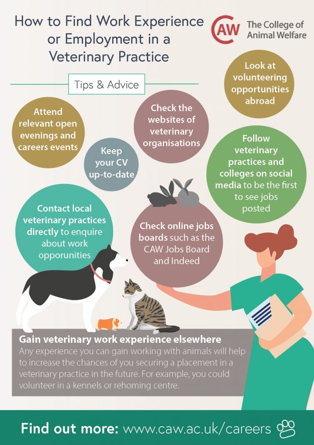 Veterinary Nursing Awareness Resources