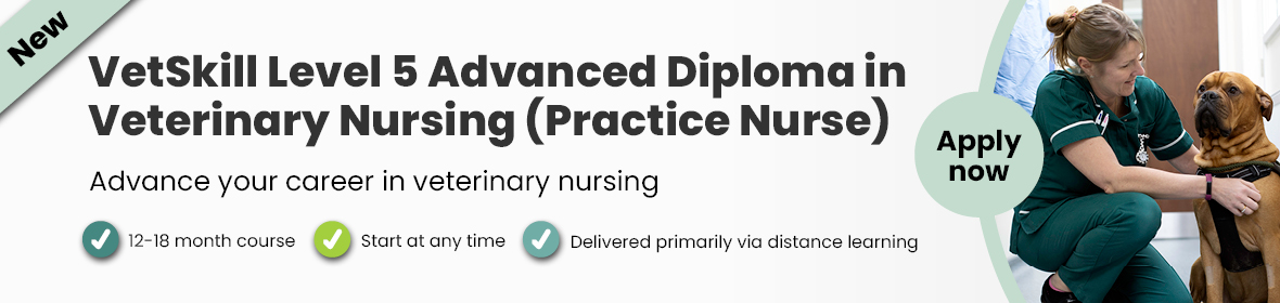 Level 5 Advanced Diploma in Veterinary Nursing (Practice Nurse)