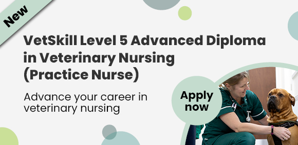 Level 5 Advanced Diploma in Veterinary Nursing (Practice Nurse)