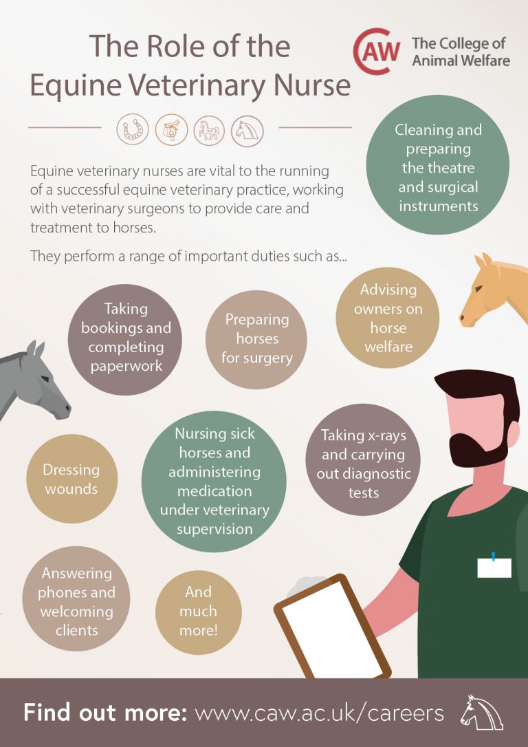 Veterinary Nursing Awareness Resources