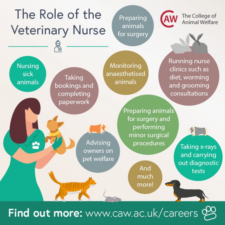 Veterinary Nursing Awareness Resources