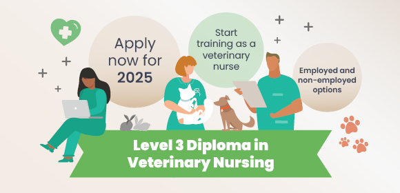 Start studying the Level 3 Diploma in Veterinary Nursing