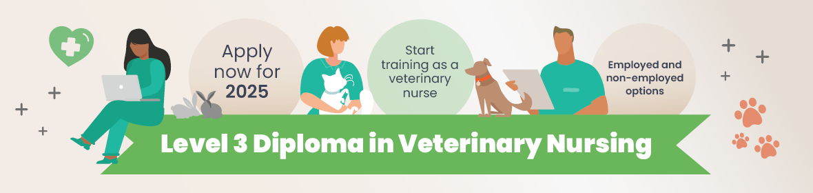 Start studying the Level 3 Diploma in Veterinary Nursing