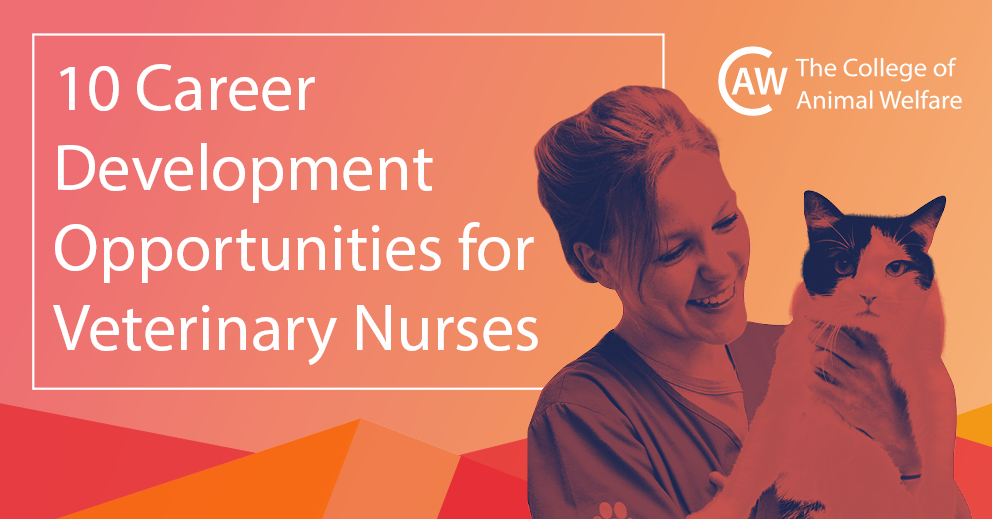 Career Development for Veterinary Nurses