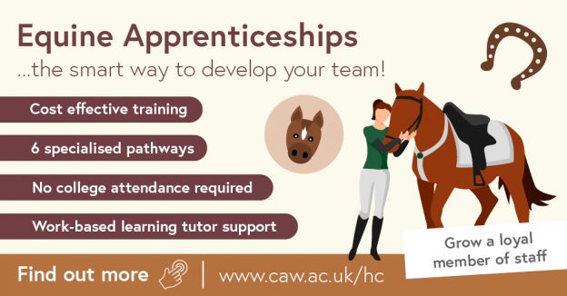 Equine Apprenticeships for Employers