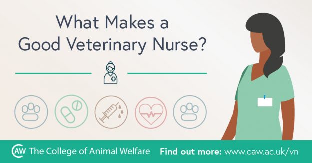 What Makes a Good Veterinary Nurse