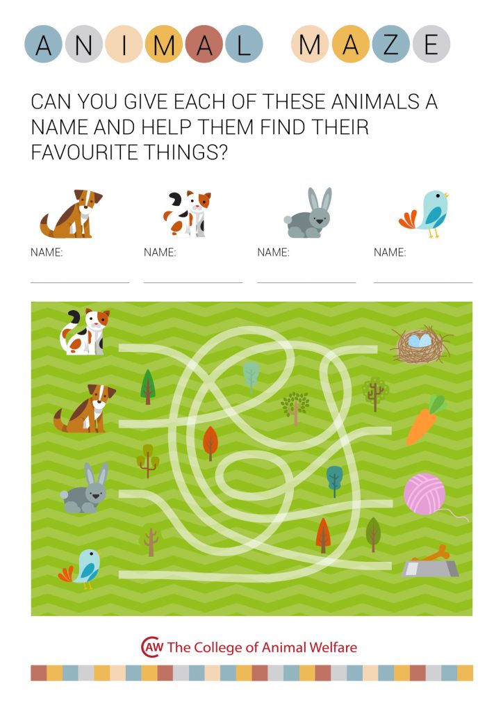 Animal Maze