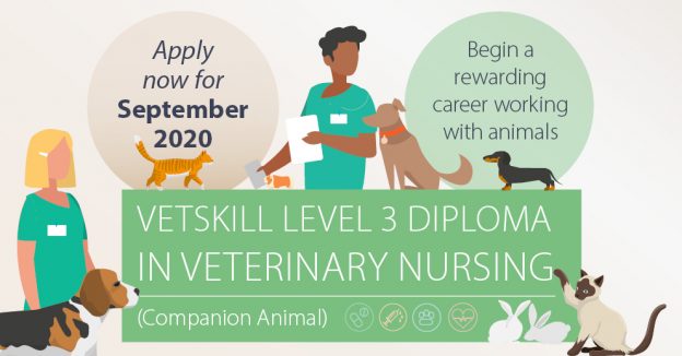 Veterinary Nursing September 2020 Intake