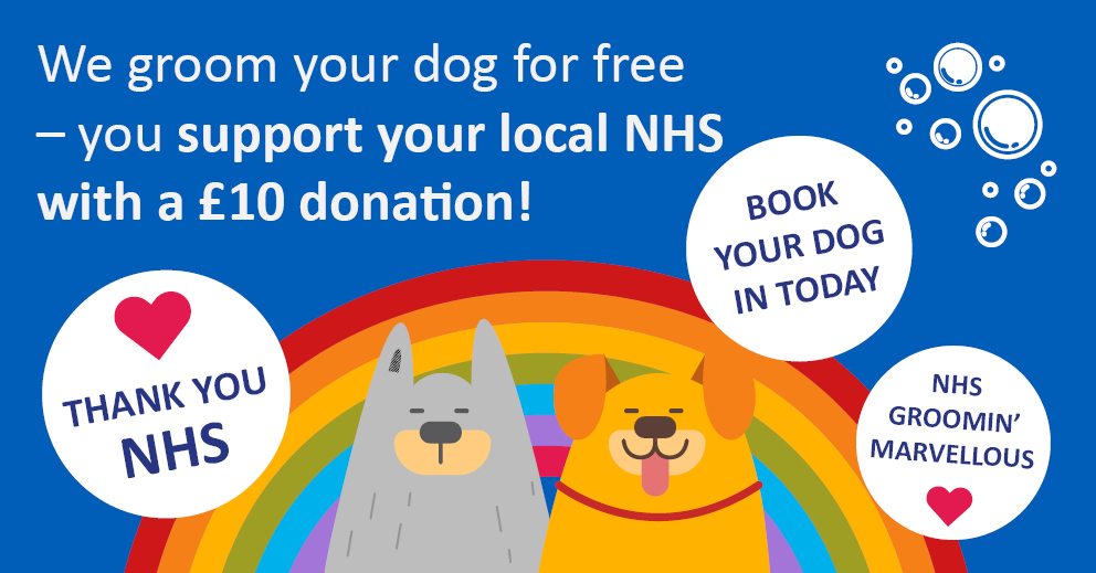 Dog Grooming for NHS Donations