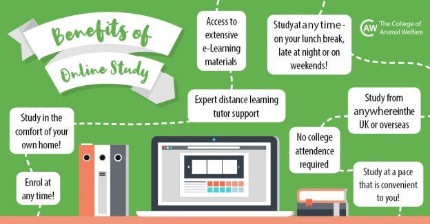 Online Learning Benefits Infographic