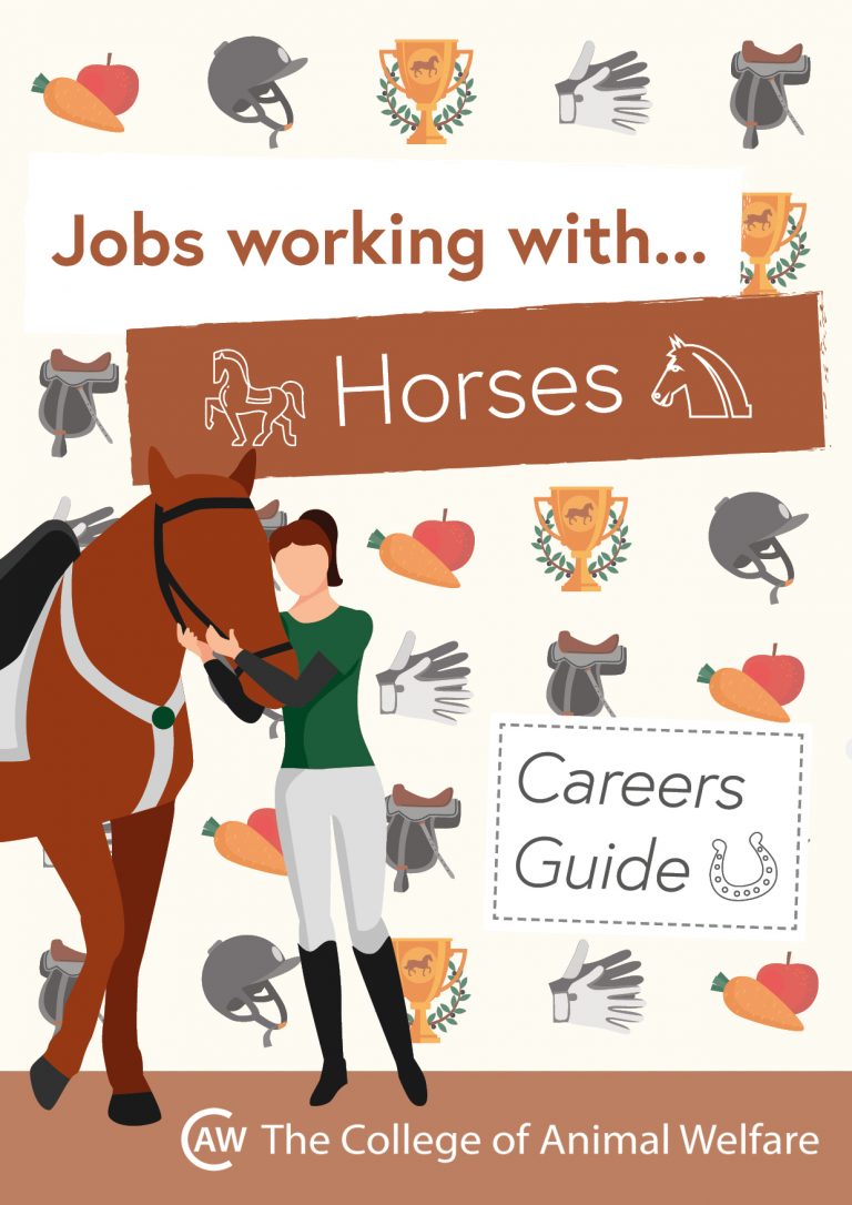 Animal Career Guides