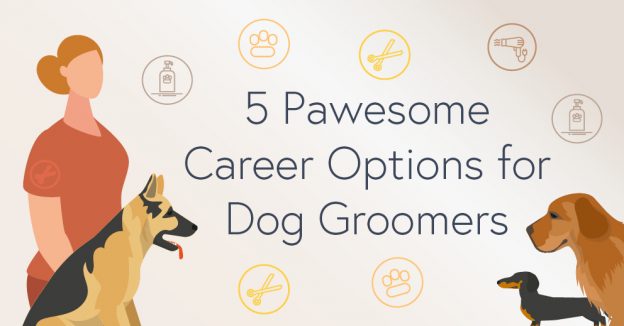 Dog grooming deals options