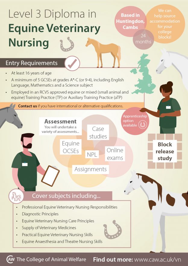 Veterinary Nursing Awareness Resources