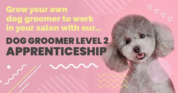 Dog Groomer Level 2 Apprenticeship
