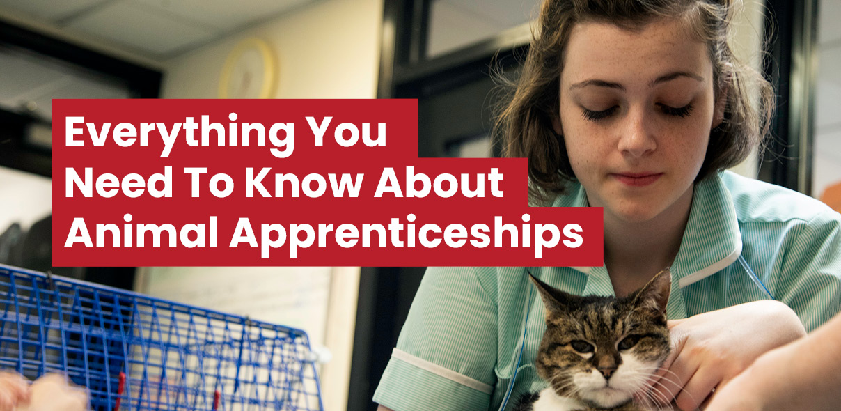 Key Facts About Animal Apprenticeships