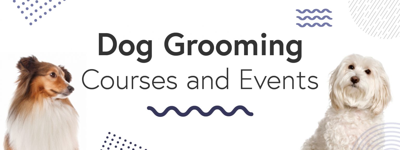 Dog Grooming Courses CAW